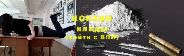 PSILOCYBIN Магас
