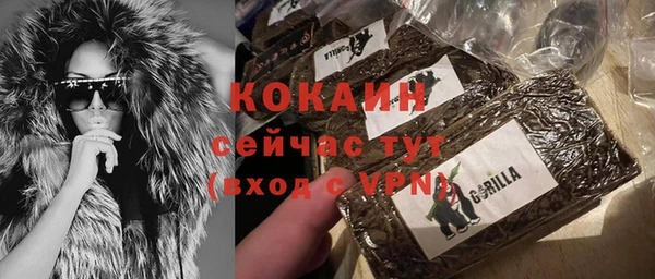 PSILOCYBIN Магас