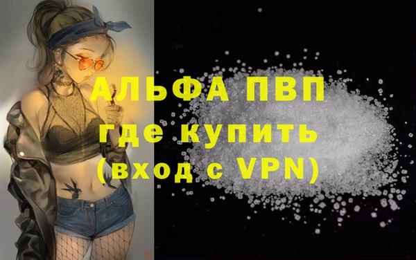 PSILOCYBIN Магас