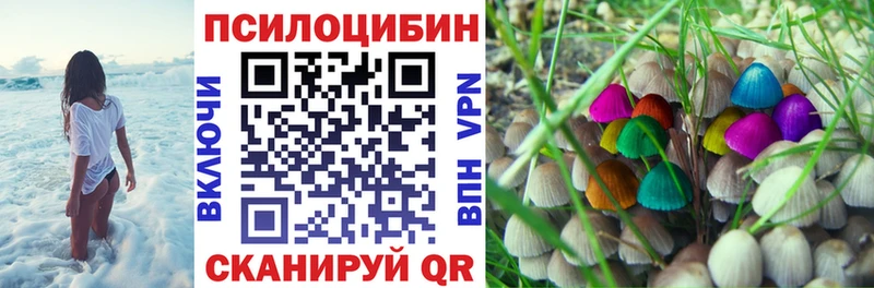 Купить закладки  Алексеевка  Псилоцибиновые грибы Psilocybine cubensis 